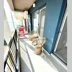 Studio Velier Mamaia Nord